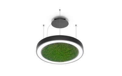 The Vector Round Moss